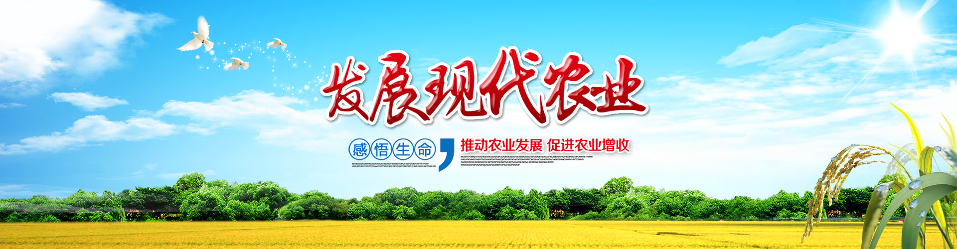 轮显图2